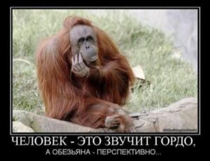2a780b584e6fa7402c41f5ee4a34c7fb.jpg