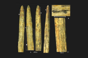 2b7b13cc46762b659cb3a55c239c675e.jpg