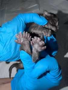 51e6d158f602fd751764269e13c79b6b.png