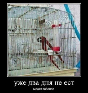 b0ffe4195396c814be92639040444ca0.jpg